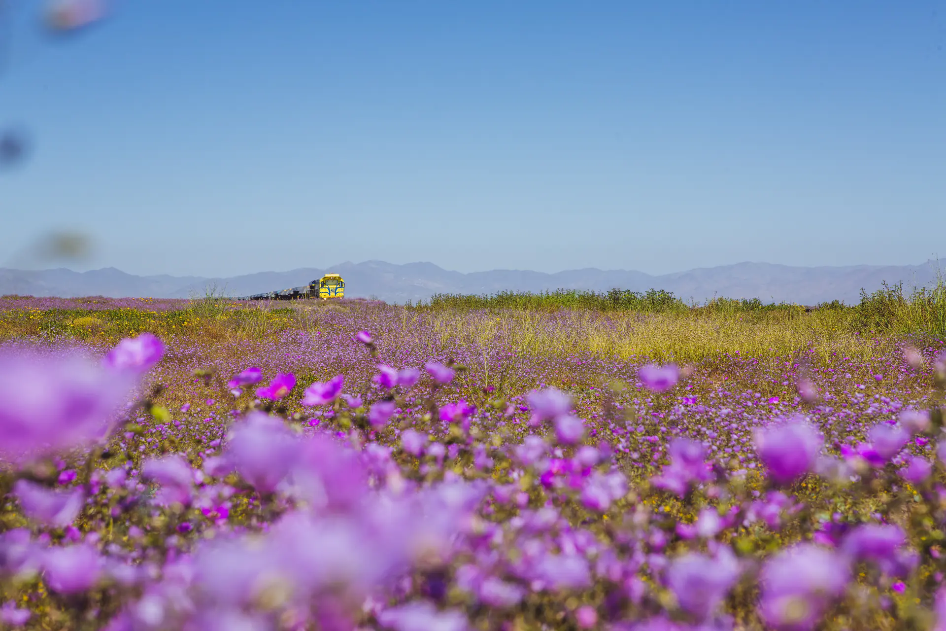 Paisaje de Chile para inspirar tu próximo viaje